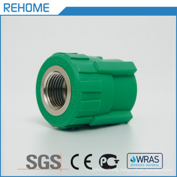 Competitive Price Plastic Elbow/Flange/Tee/Connector/Reducer/Coupling Sanitary PPR/PE Water Pipe Fitting with CE Certification